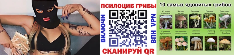 Псилоцибиновые грибы Magic Shrooms  Купить где  Великие Луки 