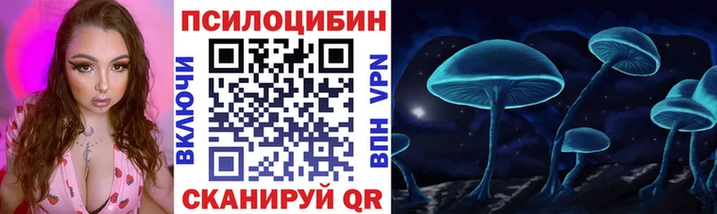 Псилоцибиновые грибы мицелий Великие Луки